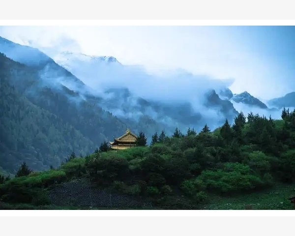 除肝湿热口臭